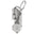 Silver Fish