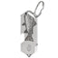 Silver Fish